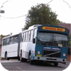 Premier Motor Services miscellany